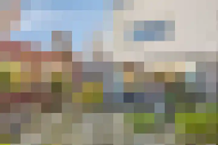 D. Schellincxstraat 31 Spijkenisse thumbnail 35