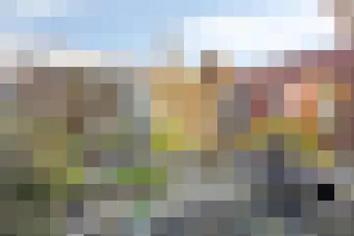 D. Schellincxstraat 31 Spijkenisse thumbnail 38