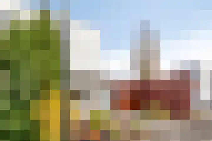 D. Schellincxstraat 31 Spijkenisse thumbnail 42