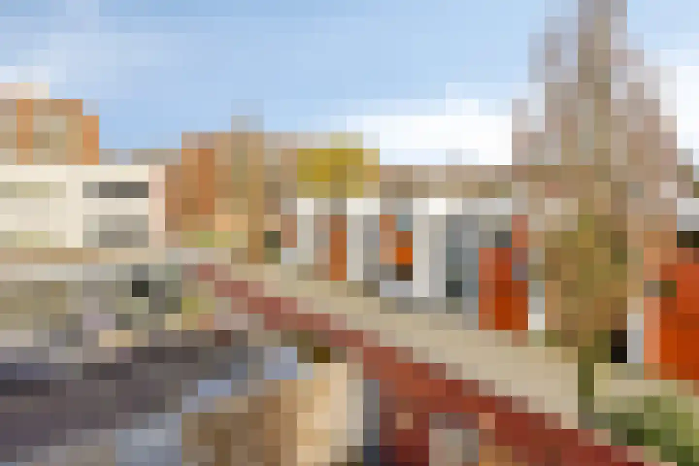 D. Schellincxstraat 31 Spijkenisse thumbnail 47