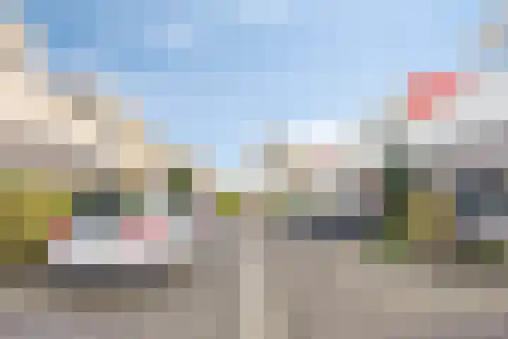 D. Schellincxstraat 31 Spijkenisse thumbnail 50