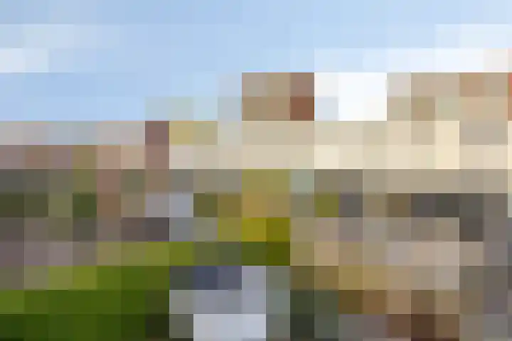 D. Schellincxstraat 31 Spijkenisse thumbnail 51