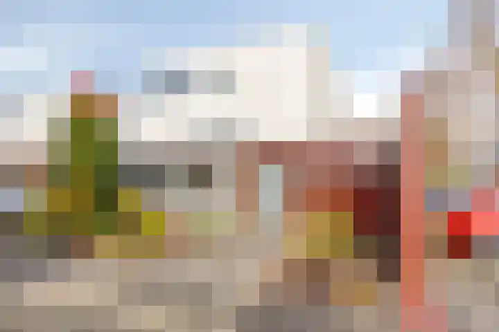 D. Schellincxstraat 31 Spijkenisse thumbnail 52