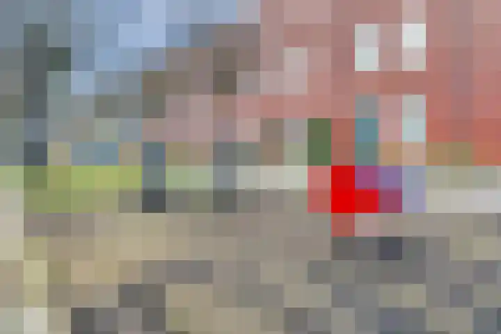 D. Schellincxstraat 31 Spijkenisse thumbnail 54