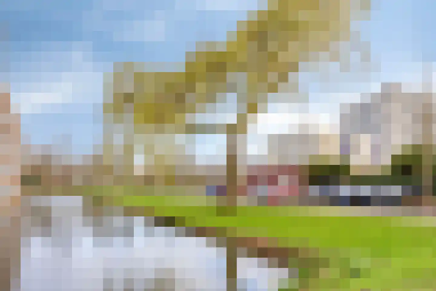 D. Schellincxstraat 31 Spijkenisse thumbnail 56
