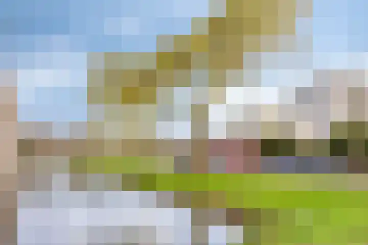 D. Schellincxstraat 31 Spijkenisse thumbnail 56