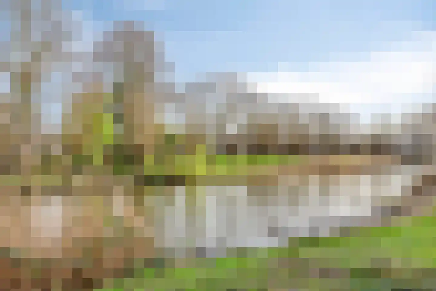 D. Schellincxstraat 31 Spijkenisse thumbnail 57