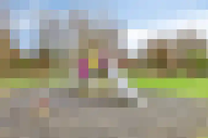 D. Schellincxstraat 31 Spijkenisse thumbnail 58