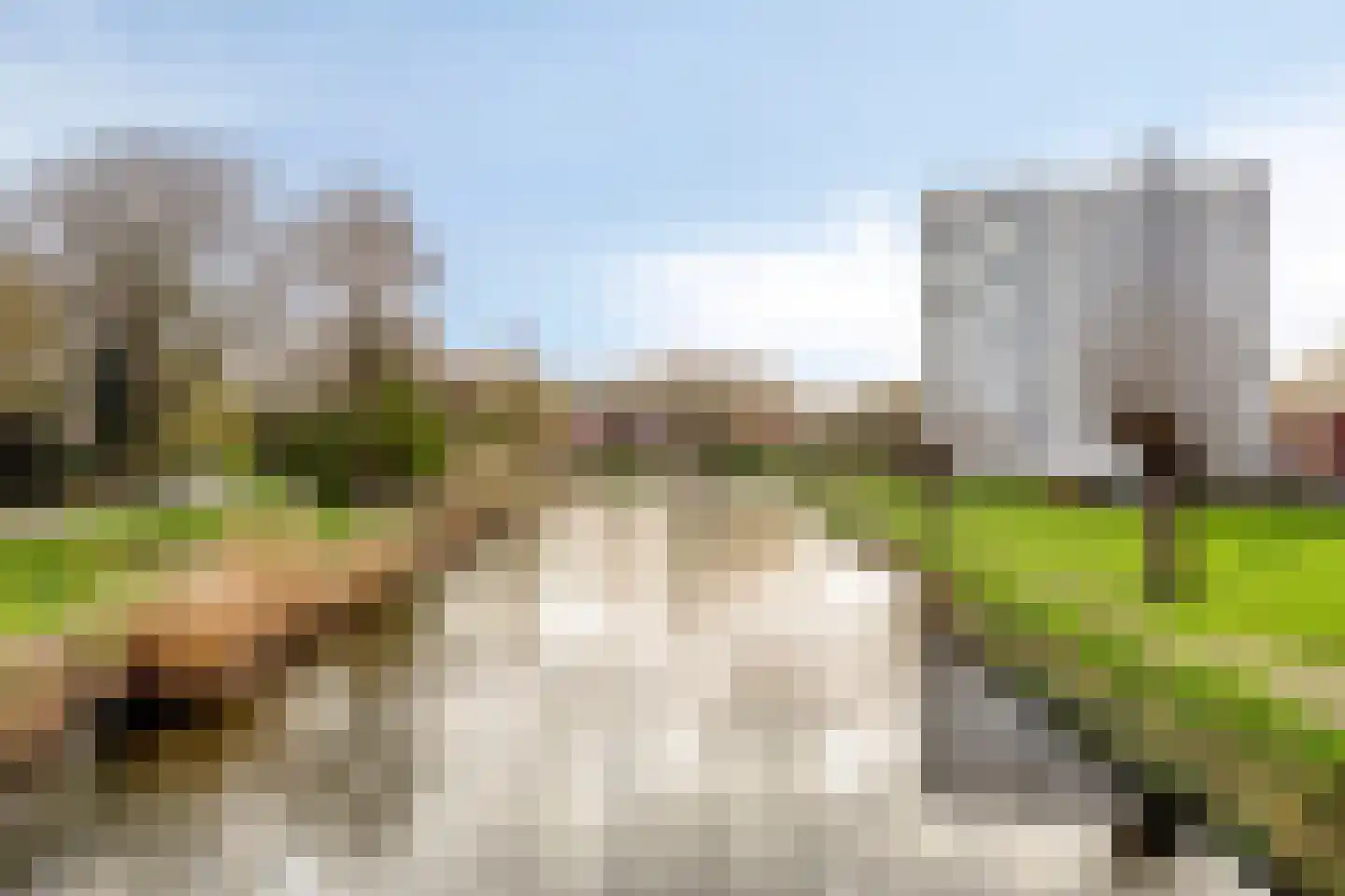 D. Schellincxstraat 31 Spijkenisse thumbnail 60