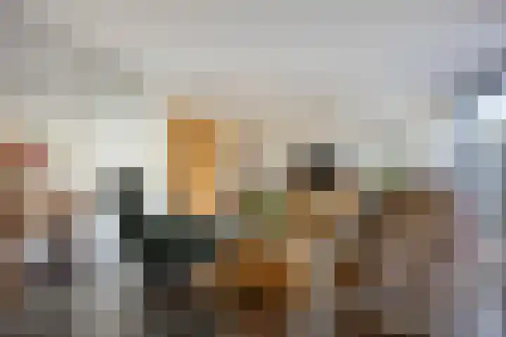 D. Schellincxstraat 31 Spijkenisse thumbnail 7