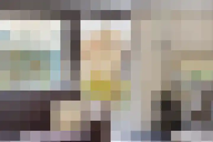 D. Schellincxstraat 31 Spijkenisse thumbnail 9