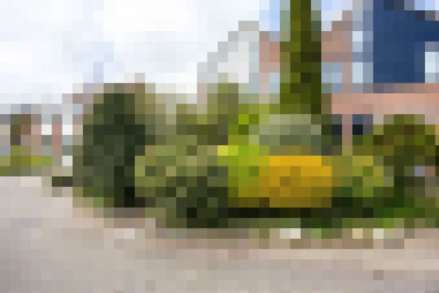 D U Stikkerstraat 8 Franeker thumbnail 13