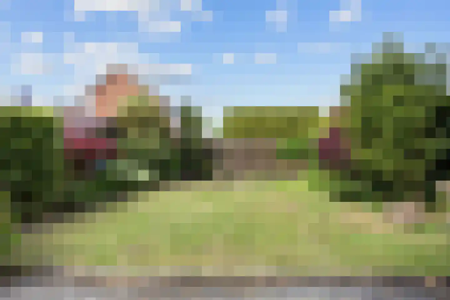D U Stikkerstraat 8 Franeker thumbnail 35