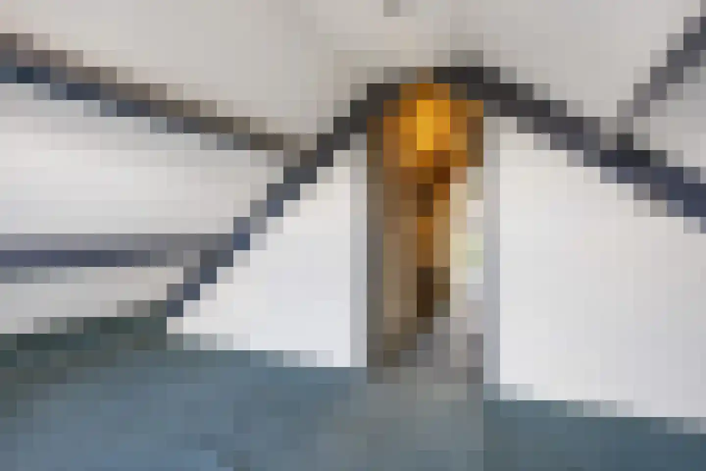 D U Stikkerstraat 8 Franeker thumbnail 51