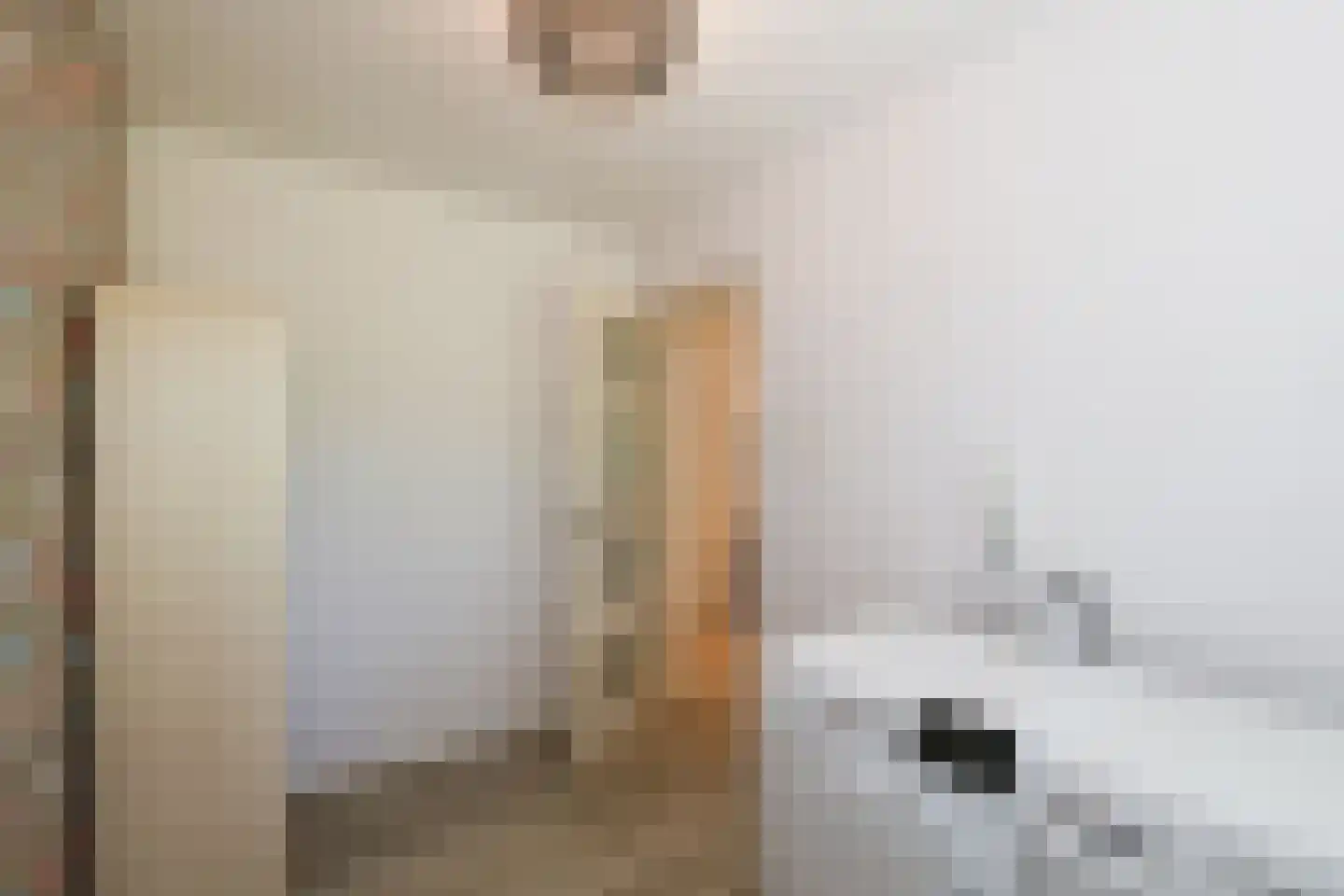D v Voornelaan 21 Rockanje thumbnail 18