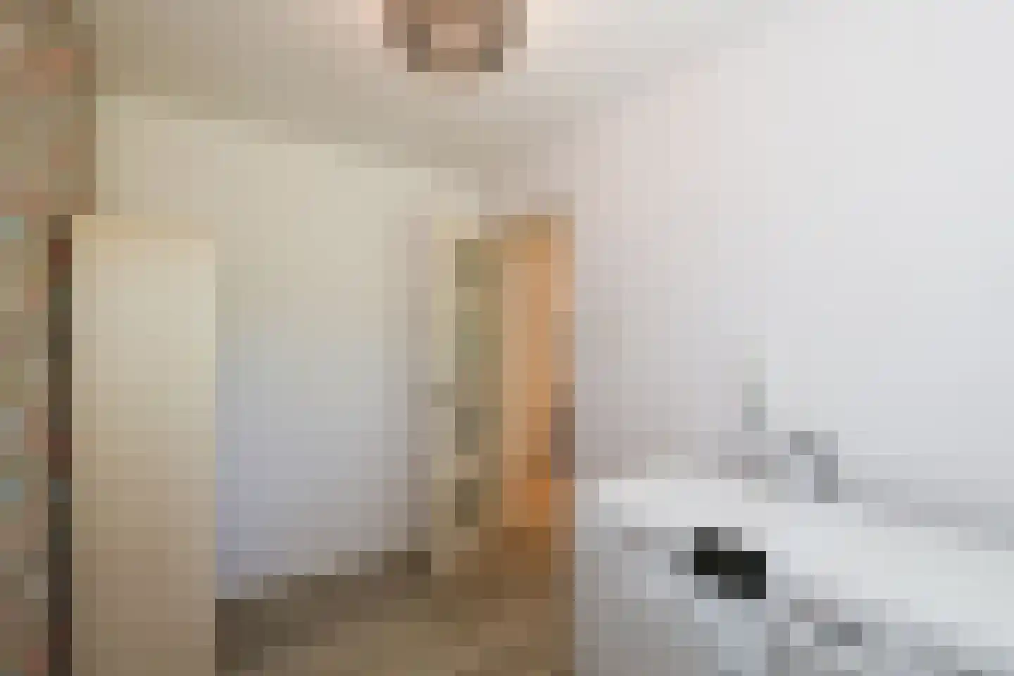 D v Voornelaan 21 Rockanje thumbnail 19