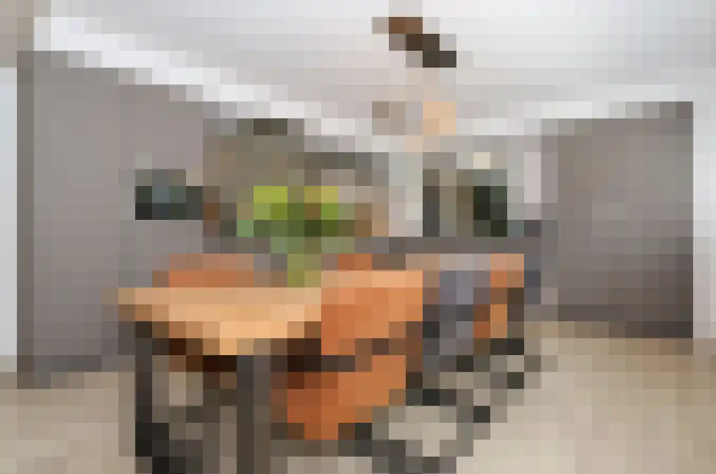 D v Voornelaan 21 Rockanje thumbnail 23