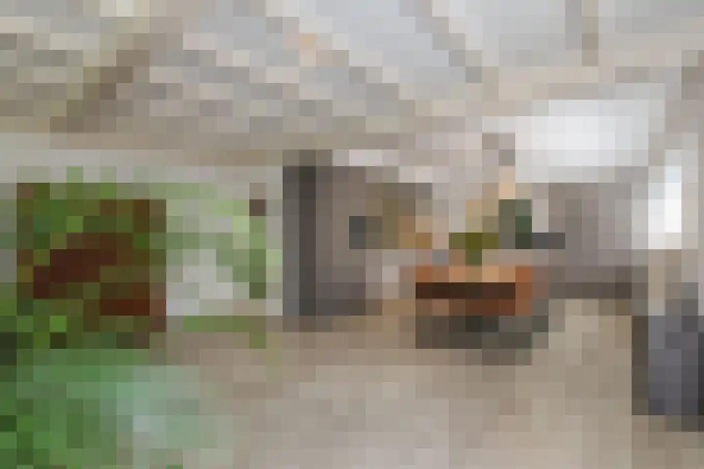 D v Voornelaan 21 Rockanje thumbnail 30