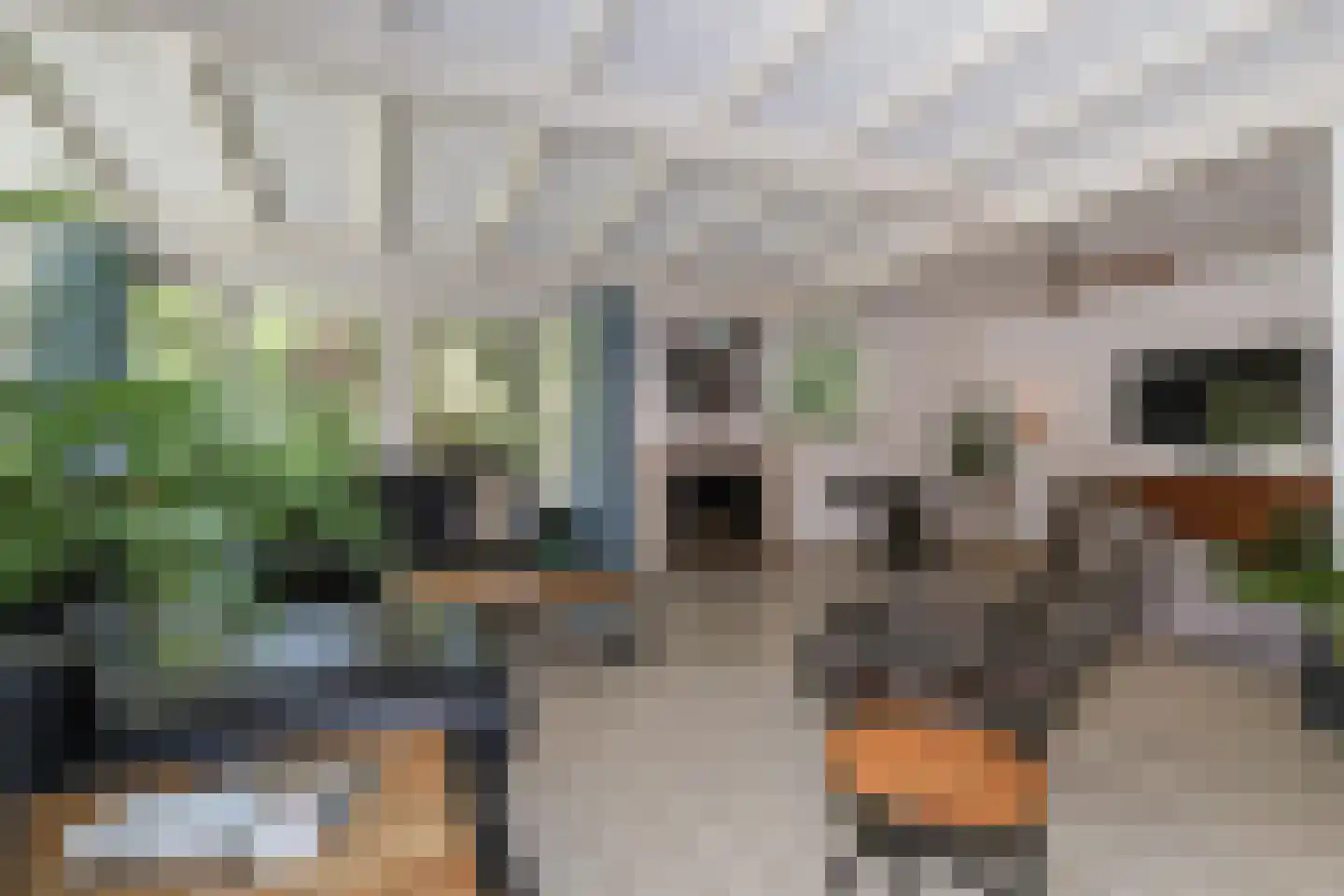 D v Voornelaan 21 Rockanje thumbnail 33