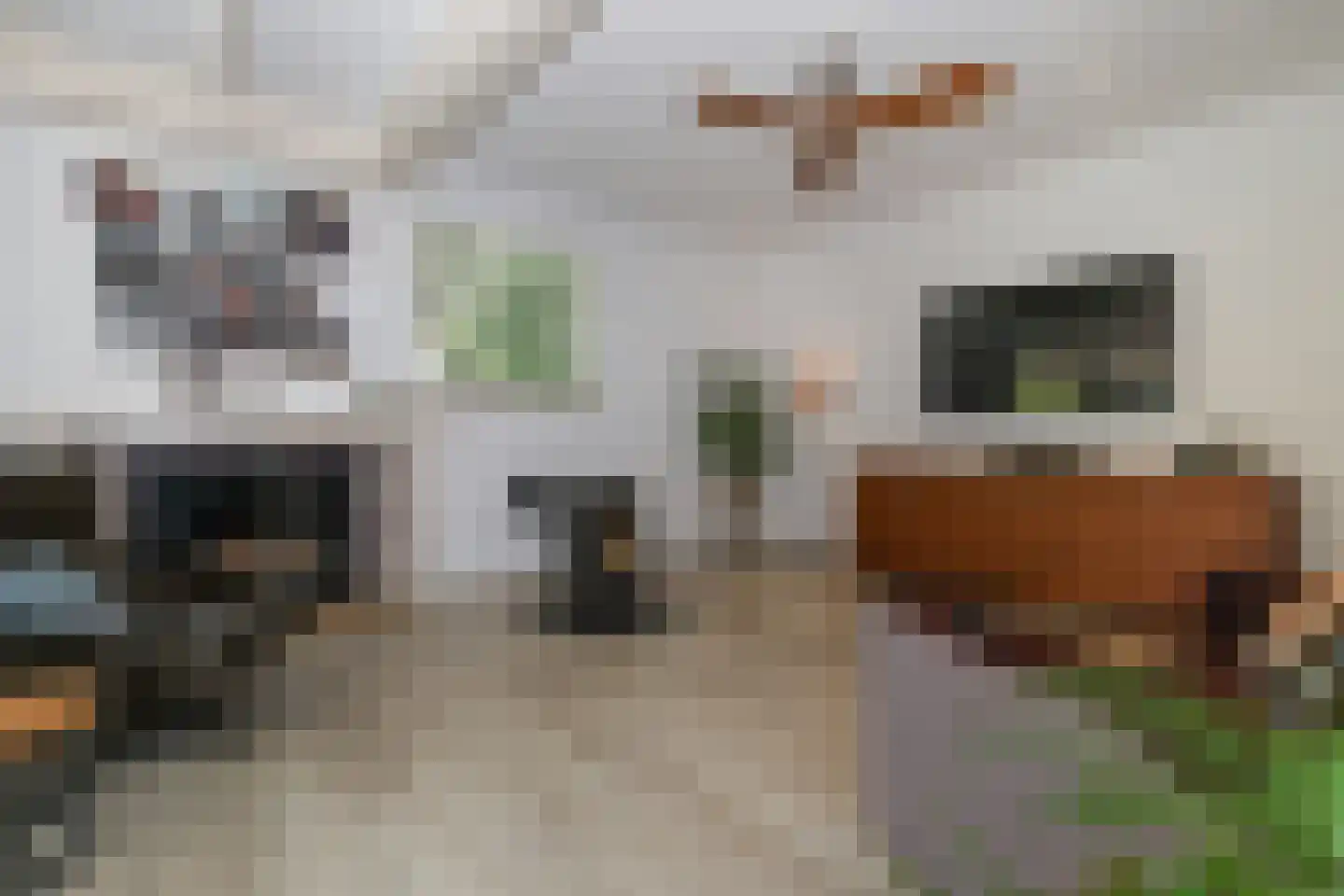 D v Voornelaan 21 Rockanje thumbnail 34