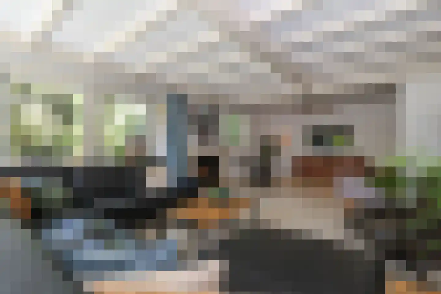 D v Voornelaan 21 Rockanje thumbnail 39