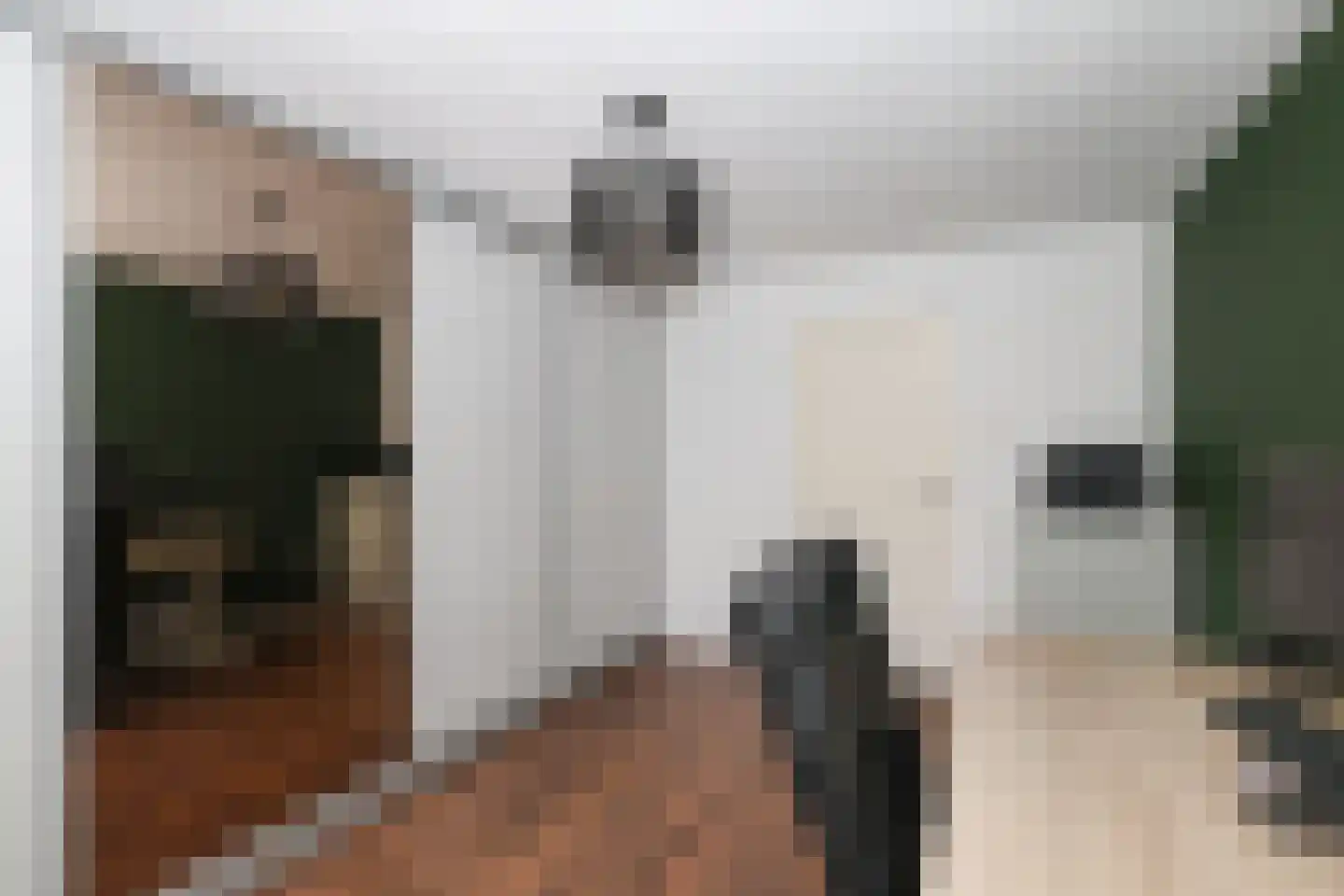 D v Voornelaan 21 Rockanje thumbnail 54
