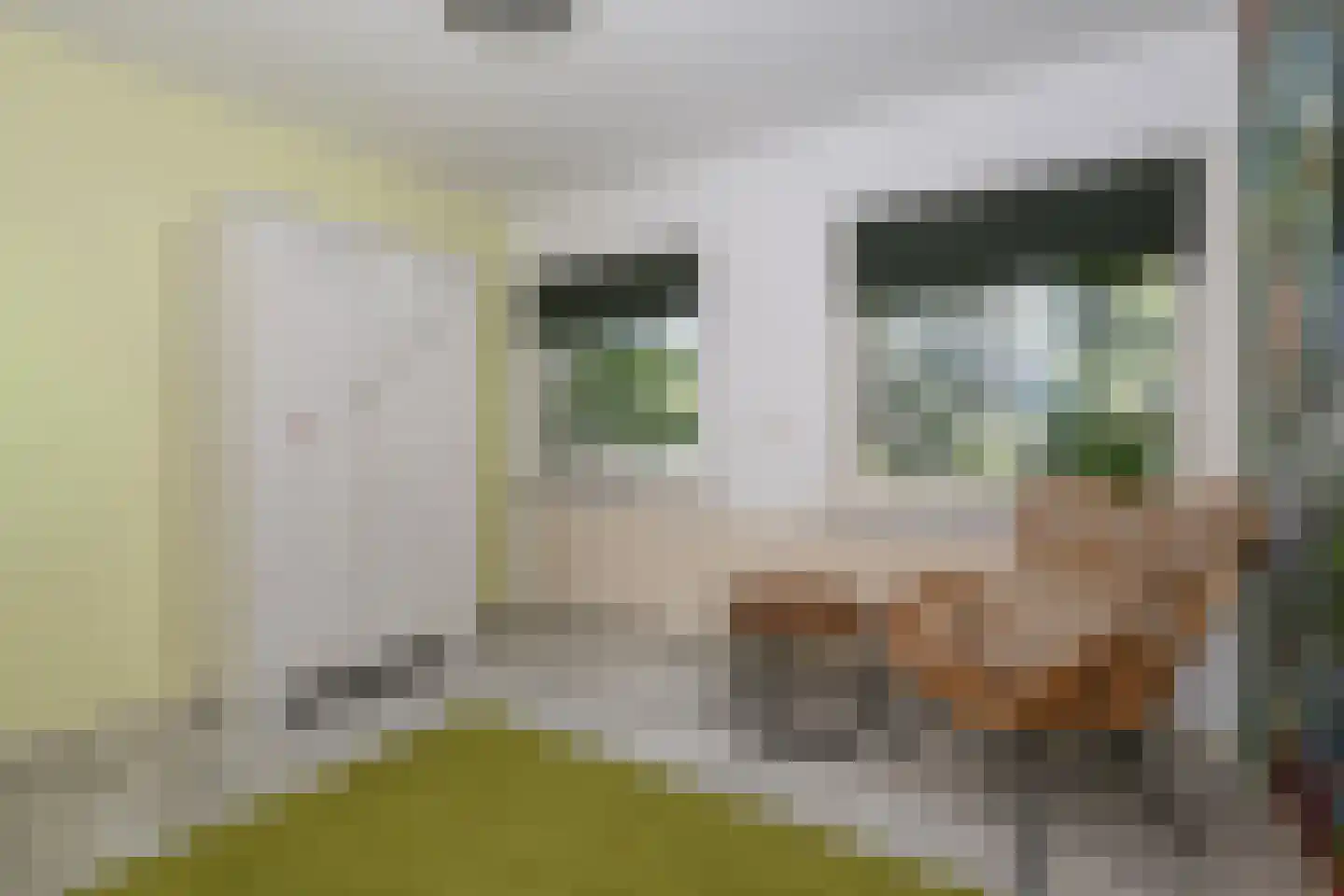 D v Voornelaan 21 Rockanje thumbnail 64
