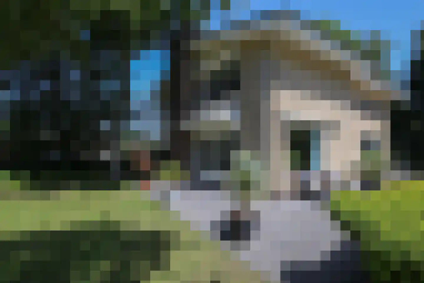 D v Voornelaan 21 Rockanje thumbnail 68