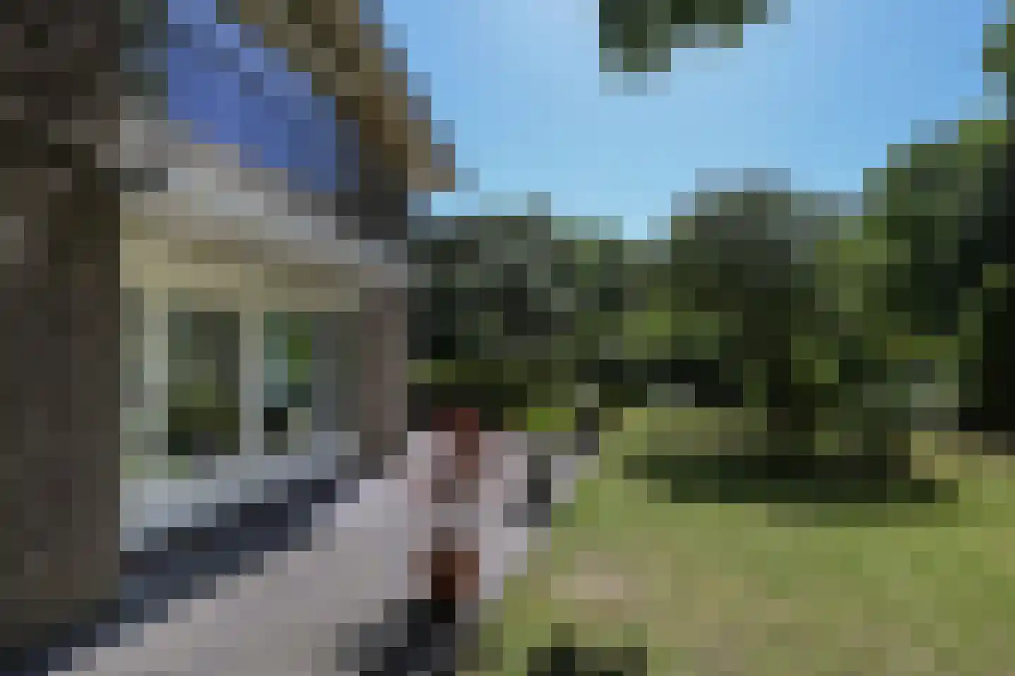 D v Voornelaan 21 Rockanje thumbnail 73