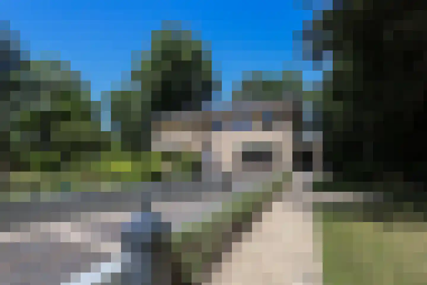 D v Voornelaan 21 Rockanje thumbnail 8