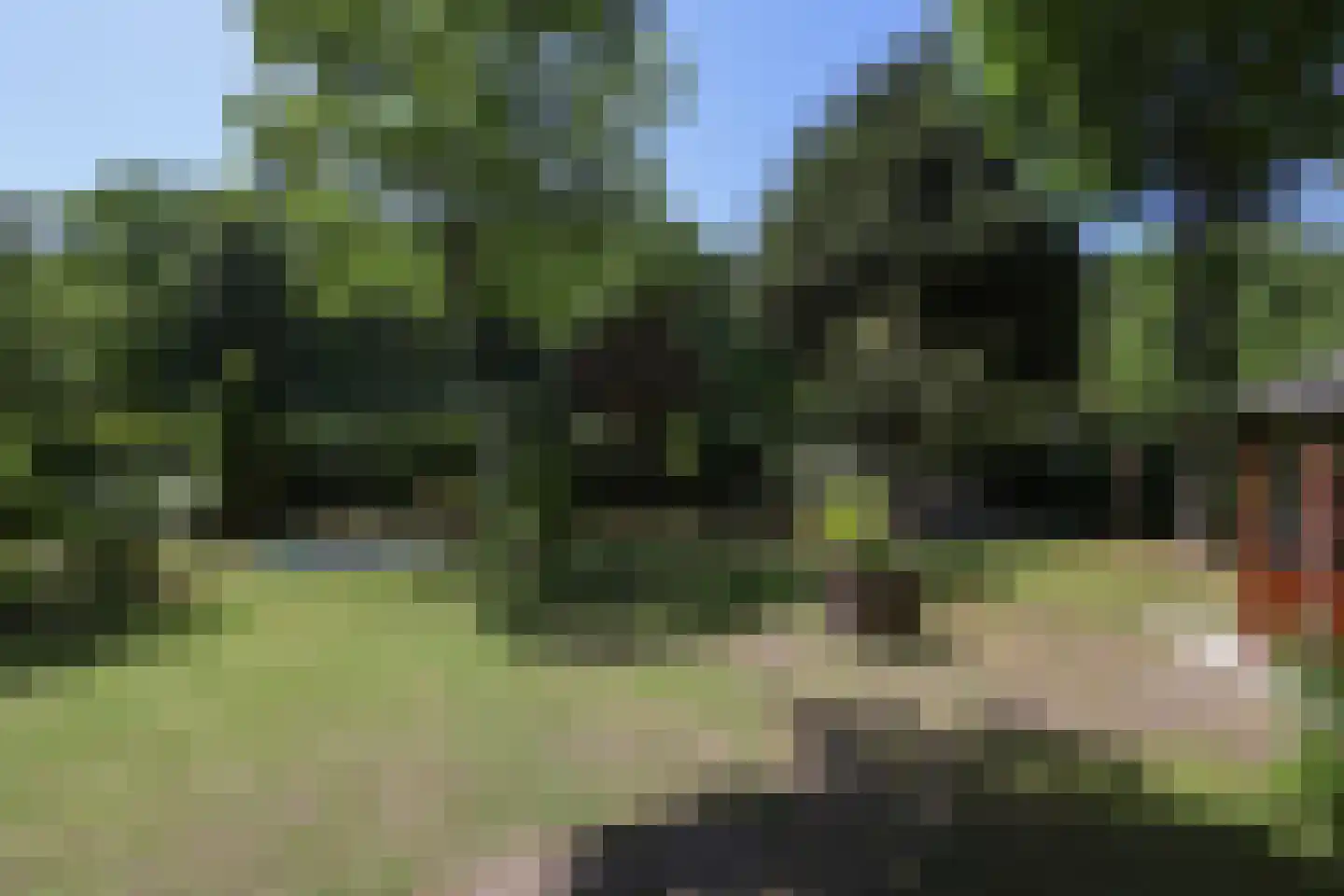 D v Voornelaan 21 Rockanje thumbnail 84