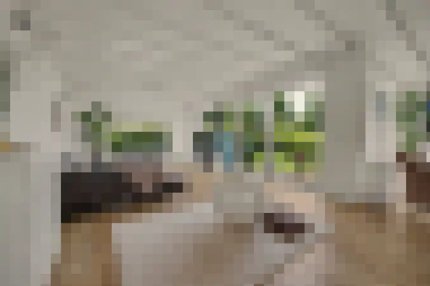D v Voornelaan 7 Rockanje thumbnail 15