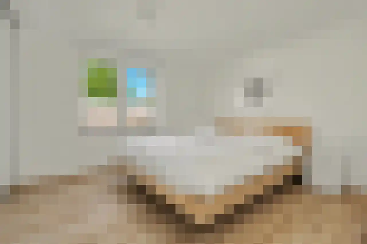 D v Voornelaan 7 Rockanje thumbnail 17
