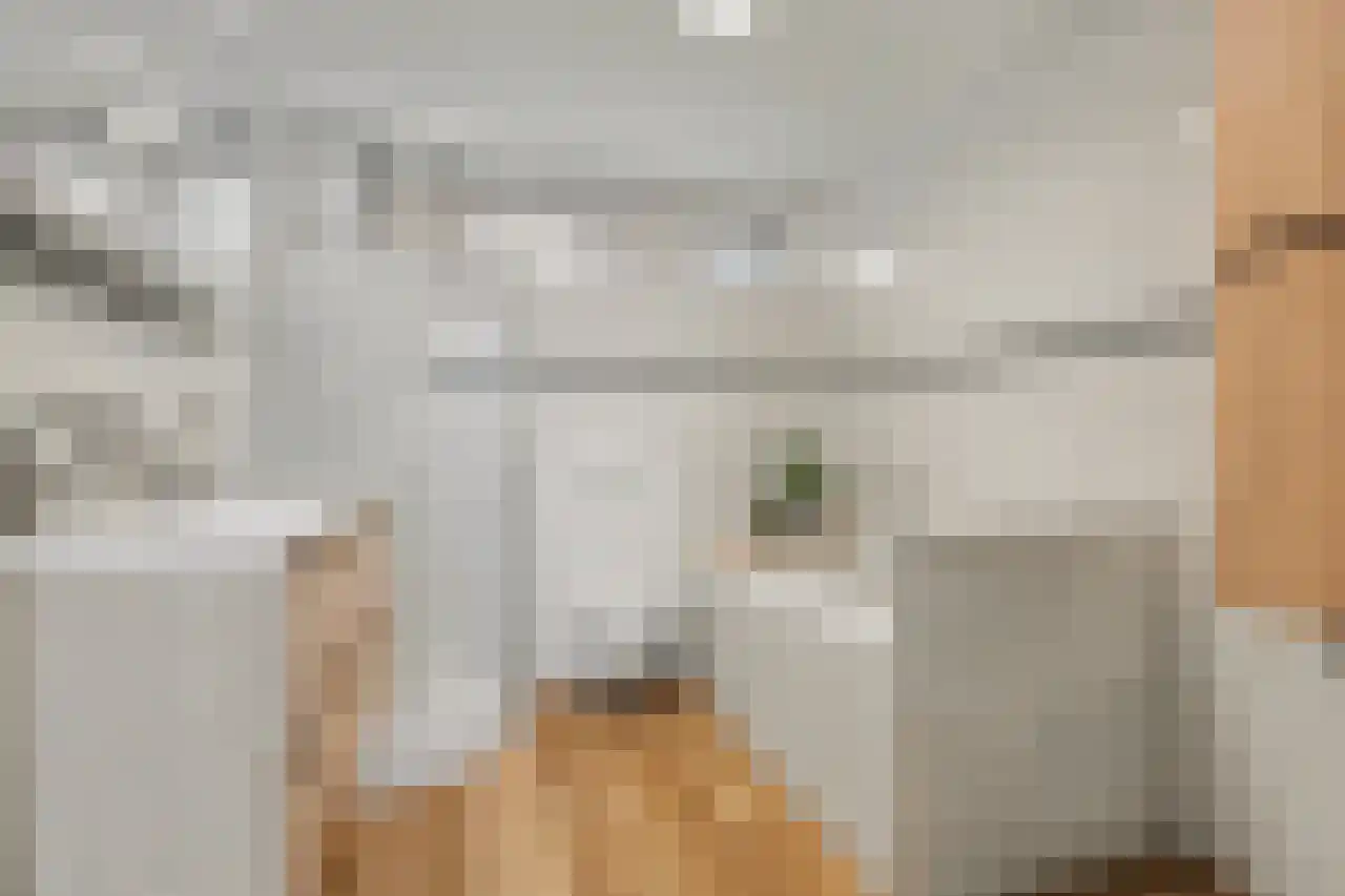 D v Voornelaan 7 Rockanje thumbnail 29