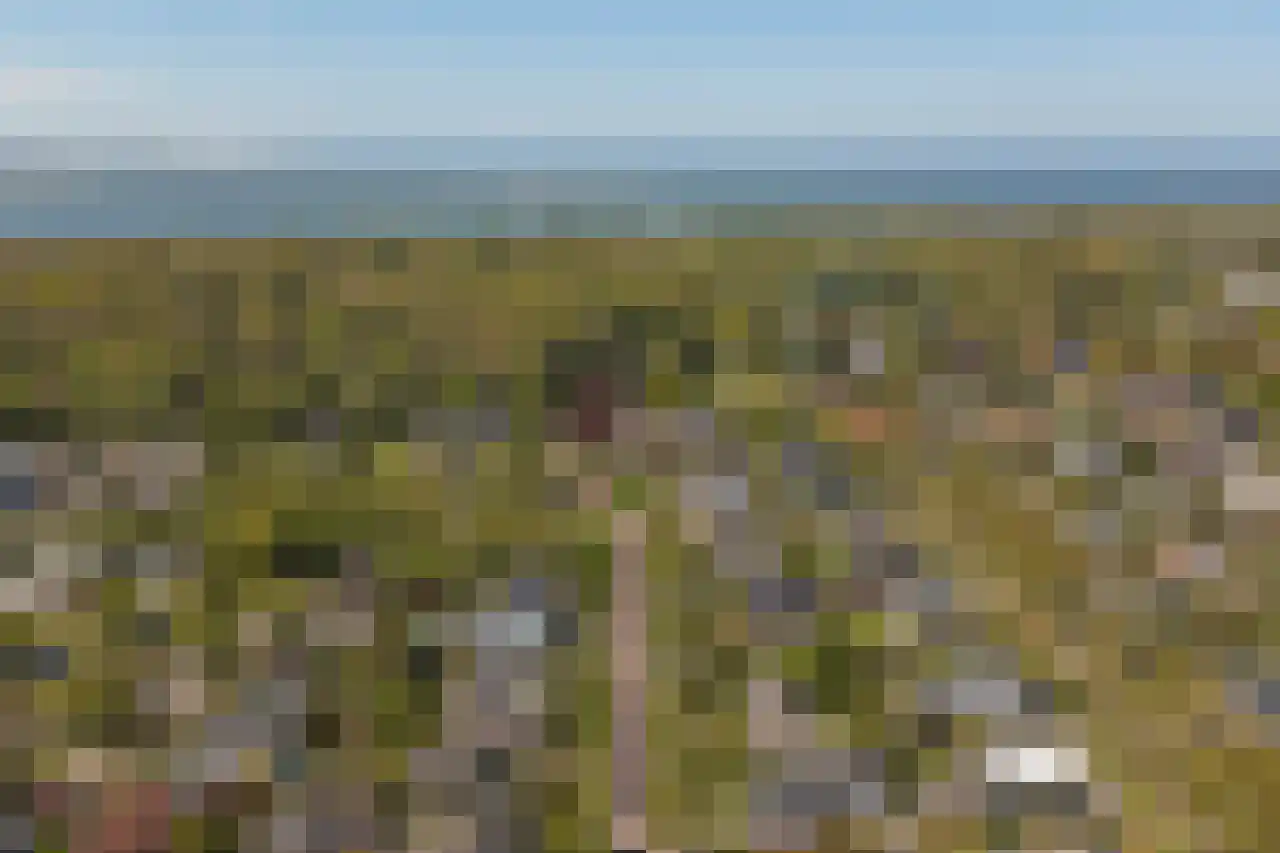 D v Voornelaan 7 Rockanje thumbnail 31