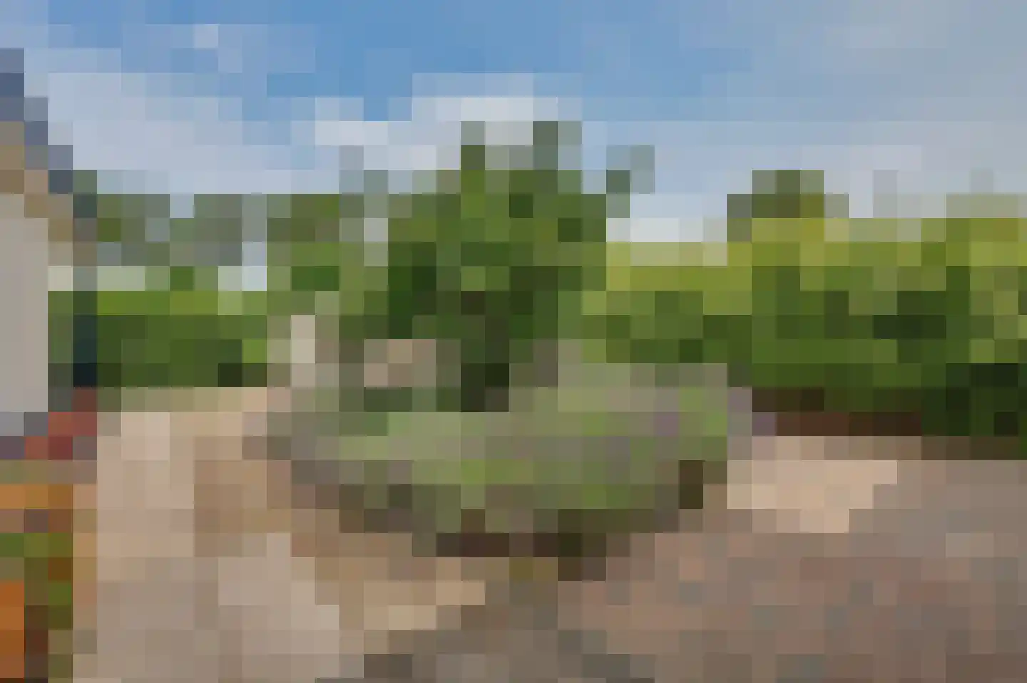D v Voornelaan 7 Rockanje thumbnail 34
