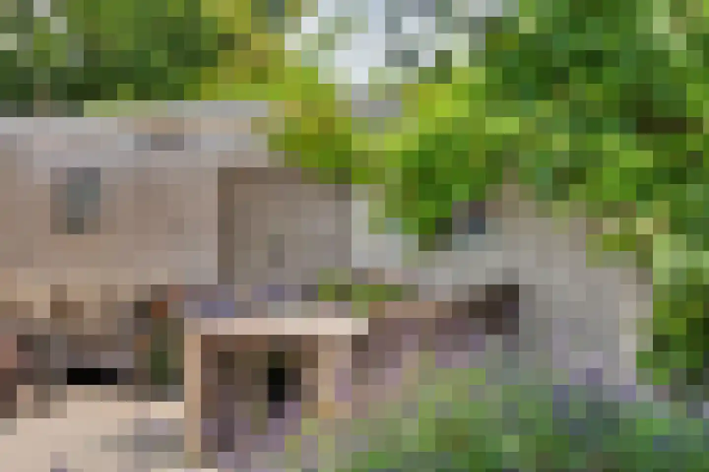 D v Voornelaan 7 Rockanje thumbnail 37