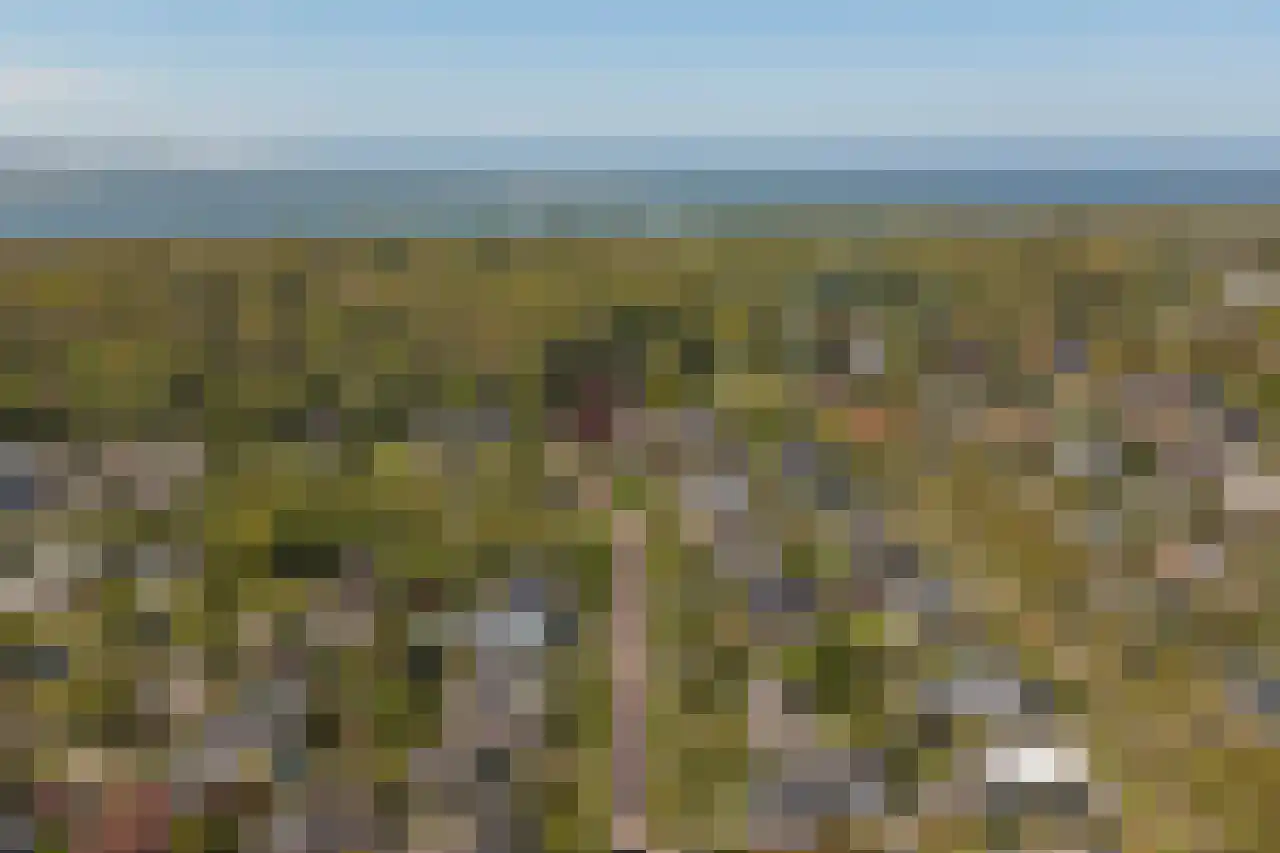 D v Voornelaan 7 Rockanje thumbnail 42