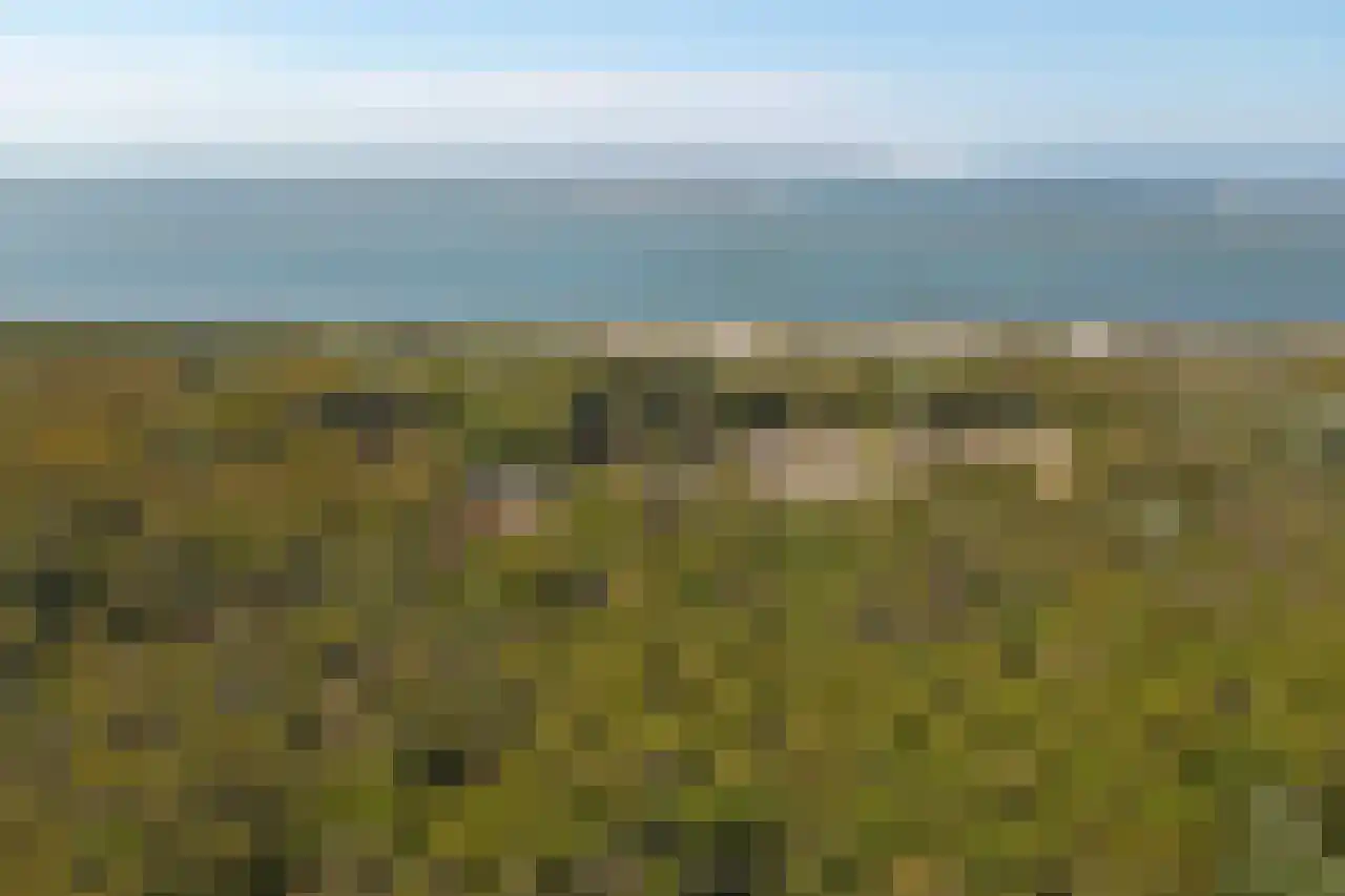 D v Voornelaan 7 Rockanje thumbnail 43