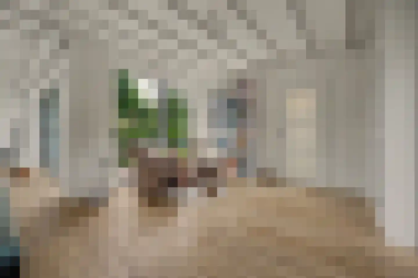 D v Voornelaan 7 Rockanje thumbnail 9