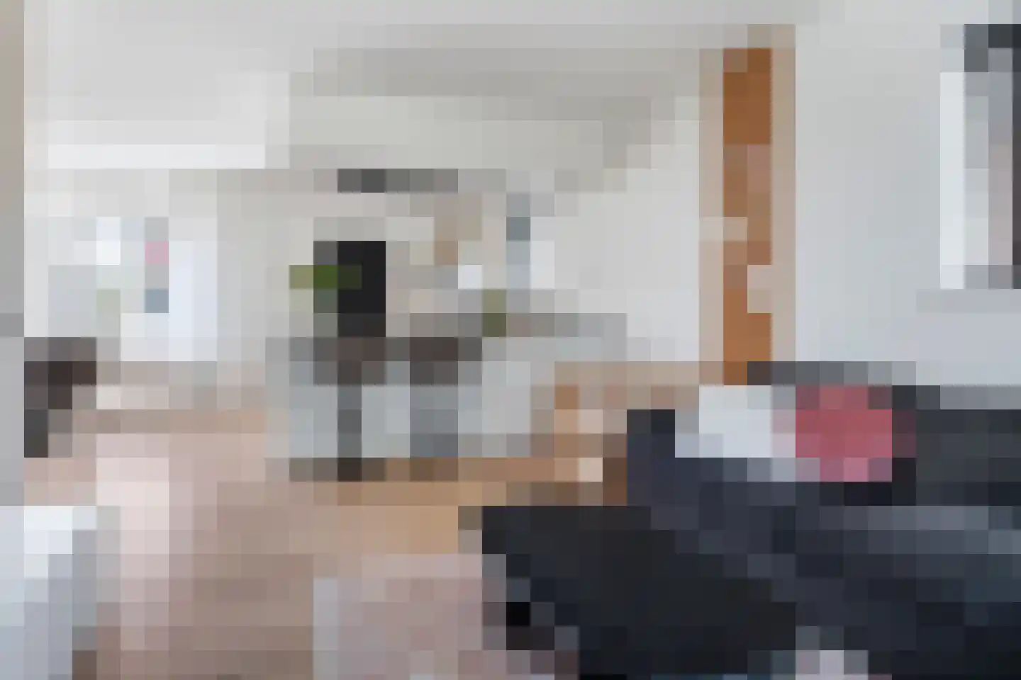 D Wiersmastrjitte 14 Kollumersweach thumbnail 11