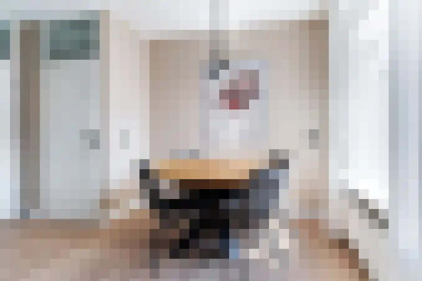 D Wiersmastrjitte 14 Kollumersweach thumbnail 15