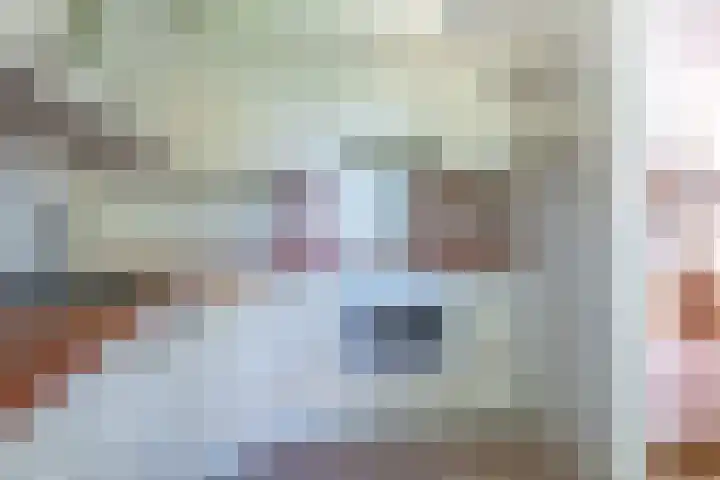 D Wiersmastrjitte 33 Kollumersweach thumbnail 14