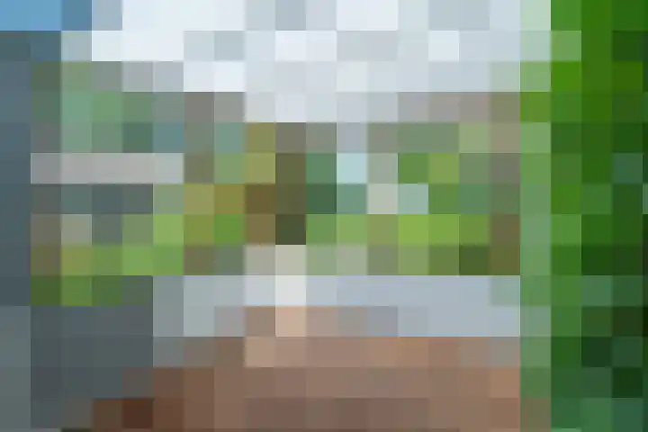 D Wiersmastrjitte 33 Kollumersweach thumbnail 21