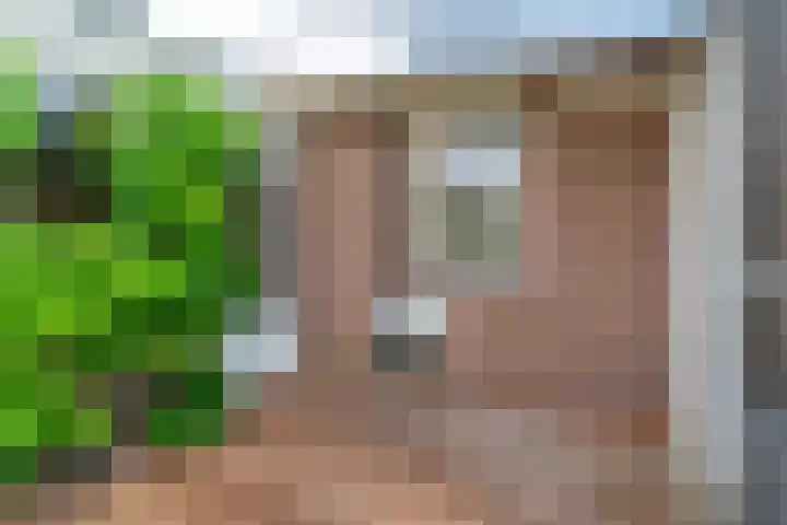 D Wiersmastrjitte 33 Kollumersweach thumbnail 22
