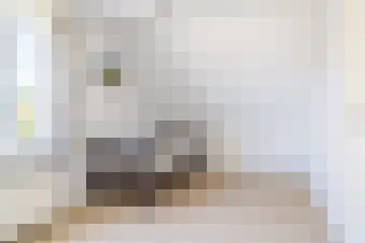 D Wiersmastrjitte 33 Kollumersweach thumbnail 27