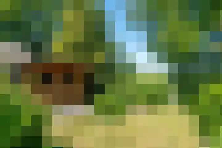 D Wiersmastrjitte 33 Kollumersweach thumbnail 32