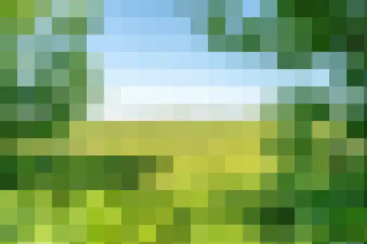 D Wiersmastrjitte 33 Kollumersweach thumbnail 33
