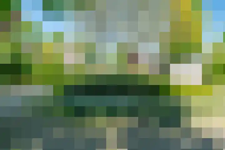 D Wiersmastrjitte 33 Kollumersweach thumbnail 38