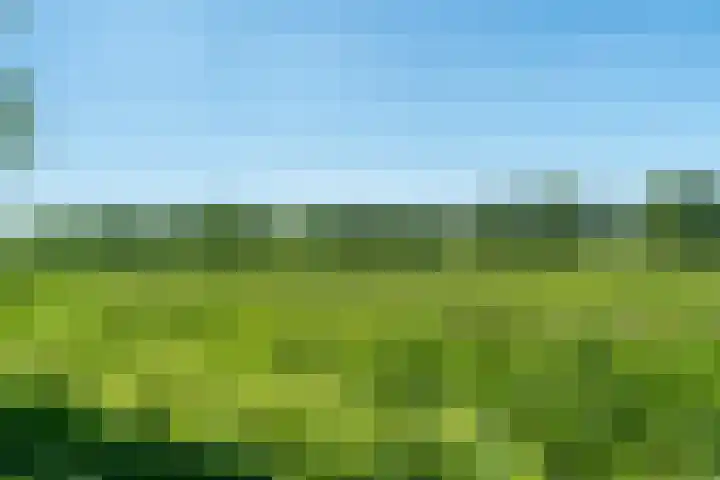 D Wiersmastrjitte 33 Kollumersweach thumbnail 39